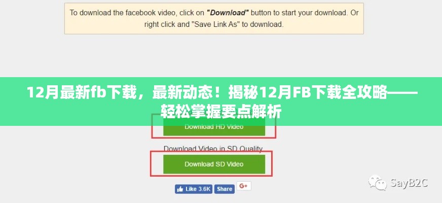 揭秘，最新動(dòng)態(tài)下的FB下載全攻略，輕松掌握要點(diǎn)解析