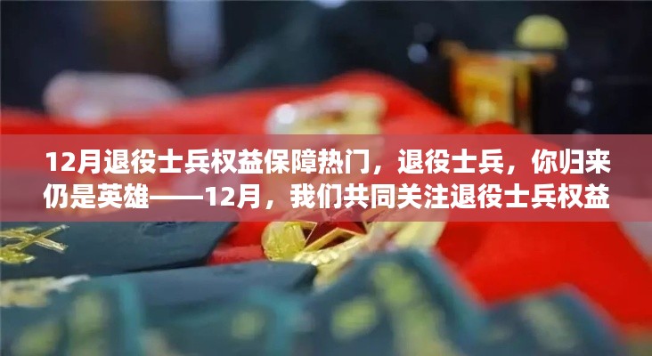 關(guān)注退役士兵權(quán)益保障，歸來仍是英雄，共同前行之路在十二月揭曉