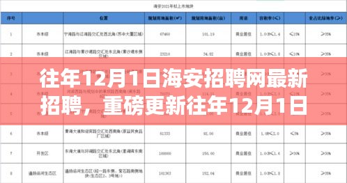 往年12月1日海安招聘網(wǎng)最新職位信息揭秘，求職者福音