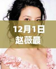 趙薇12月1日最新動態(tài)，溫馨日常與友情陪伴的故事