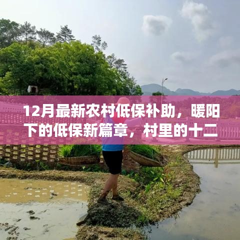 農(nóng)村低保補(bǔ)助新篇章，暖陽下的十二月溫情紀(jì)事
