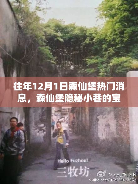 揭秘森仙堡隱秘小巷寶藏，十二月一日獨家新聞與特色小店的非凡魅力