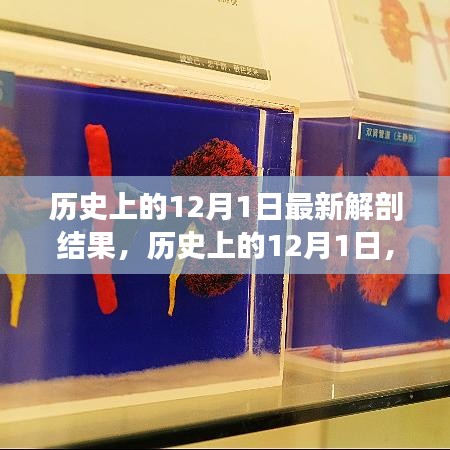 回眸最初 第12頁