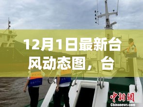 臺風(fēng)逆襲背后的力量與樂觀幽默，最新動態(tài)圖解析
