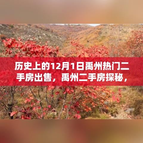 眉飛色舞 第9頁(yè)
