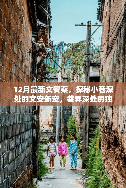 探秘文安案，巷弄深處的獨(dú)特風(fēng)味小店新寵