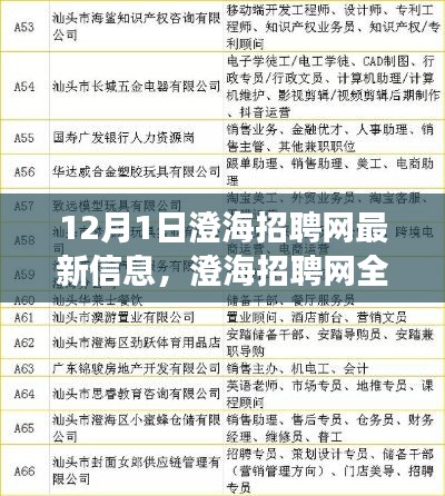 澄海招聘網(wǎng)全新升級(jí)，科技引領(lǐng)招聘變革，體驗(yàn)未來招聘之旅（最新信息）