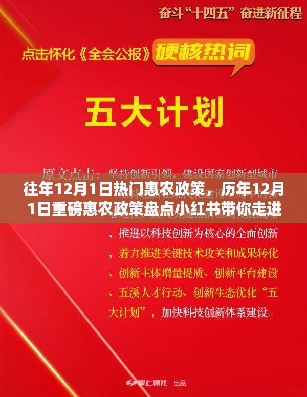 歷年12月1日惠農(nóng)政策盤點(diǎn)，走進(jìn)紅利時(shí)代的鄉(xiāng)村福利小紅書分享會(huì)