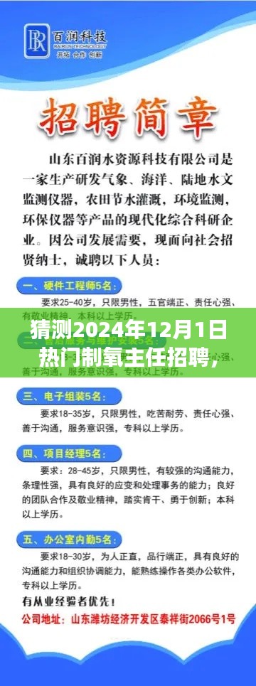 把握未來，挑戰(zhàn)熱門制氧主任崗位，2024年招聘展望與自我超越之路