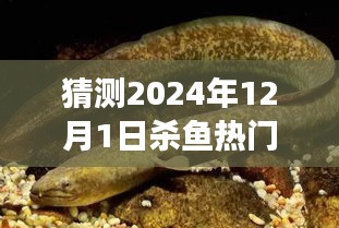 揭秘小巷深處的特色小店，預(yù)測未來殺魚熱門套路，味蕾與獵奇的盛宴（XXXX年殺魚新趨勢）