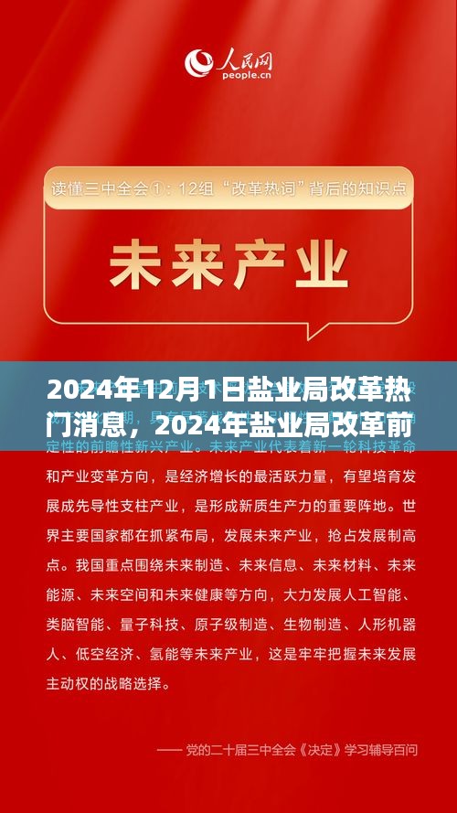 鹽業(yè)局改革前沿動(dòng)態(tài)，創(chuàng)新策略與未來(lái)展望（2024年鹽業(yè)局改革熱門消息）