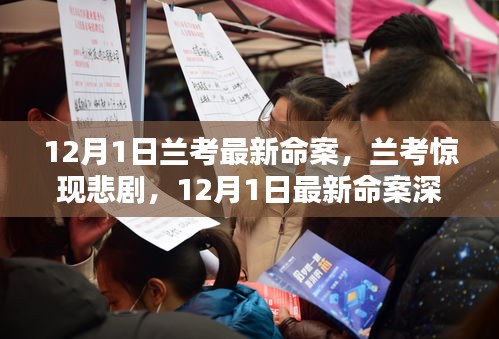 蘭考悲劇揭秘，深度解析最新命案內(nèi)幕