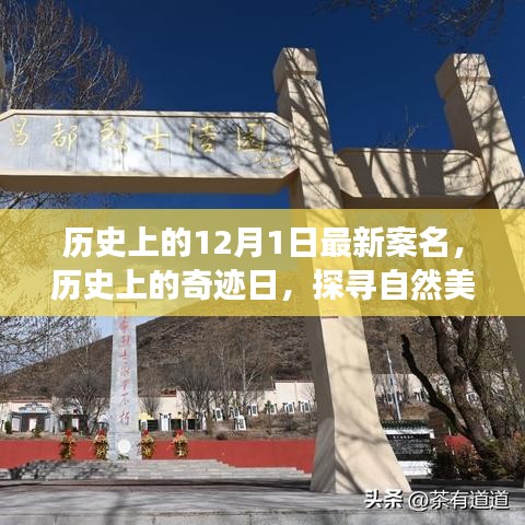 探尋奇跡日，歷史上的自然美景之旅與寧靜革命之路的探尋