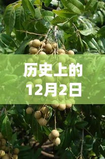 歷史上的今天，西安桂圓西苑科技新品重磅發(fā)布，智能革命風暴掀起未來科技新生活體驗