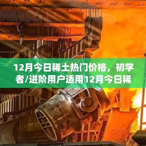 12月今日稀土熱門(mén)價(jià)格詳解，初學(xué)者與進(jìn)階用戶查詢及解讀指南
