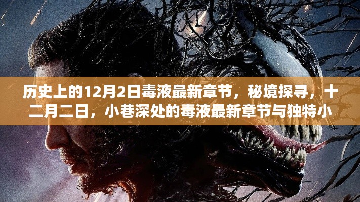 秘境探尋，毒液最新章節(jié)與獨特小店的奇妙邂逅在十二月二日