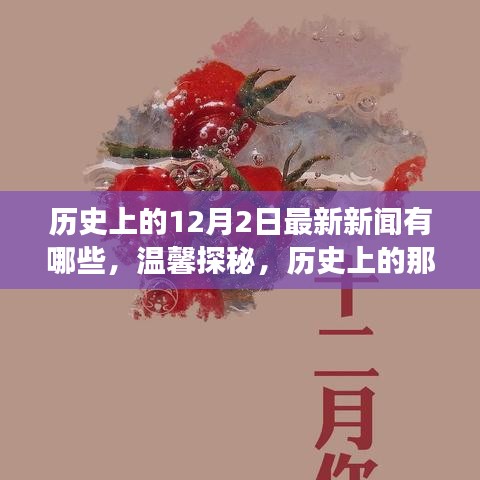 溫馨探秘，歷史上的十二月二日最新新聞與日常小故事回顧