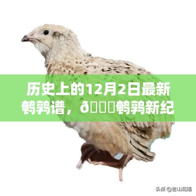 揭秘歷史上的鵪鶉新紀(jì)元，最新鵪鶉譜智能科技產(chǎn)品揭秘與回顧