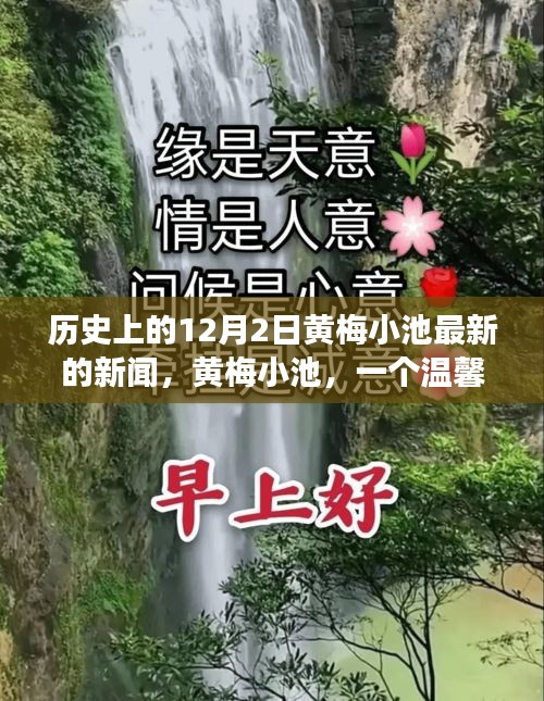 黃梅小池，溫馨日常與愛的紐帶——歷史上的今天新聞回顧，12月2日的愛與陪伴故事
