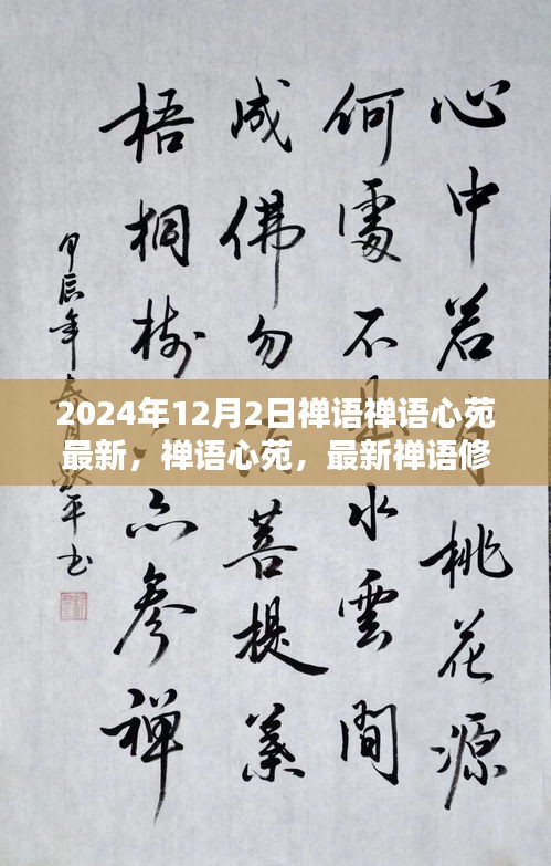 禪語心苑，最新禪語修行指南（初學(xué)者與進階用戶適用）——每日禪悟，開啟心靈之旅