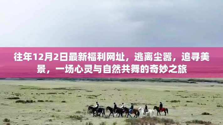 心靈與自然共舞，逃離塵囂的奇妙之旅，最新福利網(wǎng)址揭秘