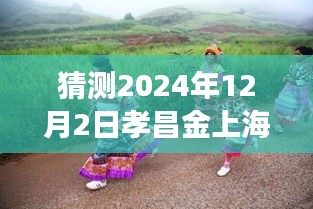 孝昌金上海2024年12月2日探尋自然秘境，旅行熱潮預測，奇妙之旅即將啟程