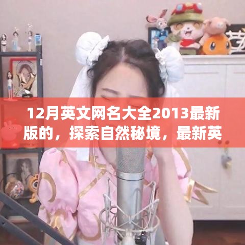 最新英文網(wǎng)名推薦，探索自然秘境的寧靜之旅——十二月旅行指南（2023版）