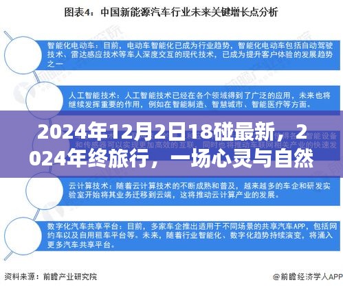 心靈與自然的碰撞，2024年終旅行記