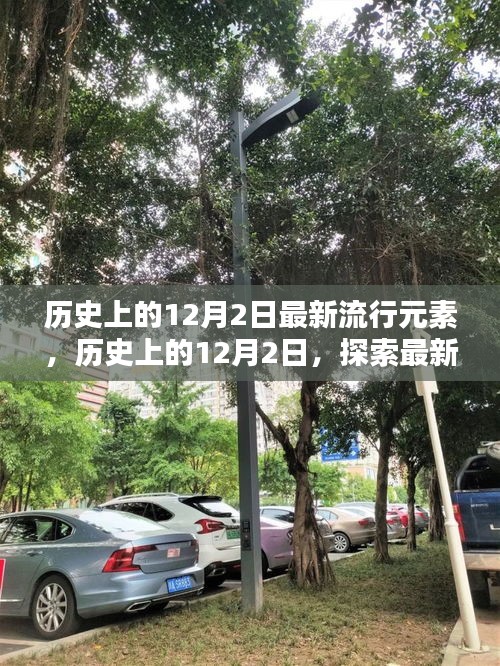 歷史上的12月2日，探索最新流行元素的詳細(xì)指南與趨勢(shì)觀察