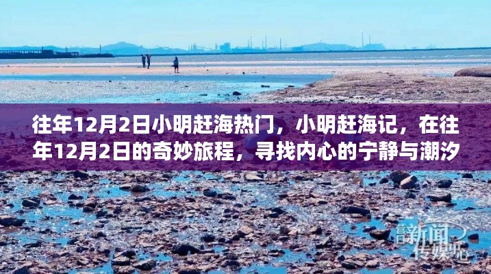 小明趕海記，尋找潮汐之聲與內(nèi)心的寧靜之旅