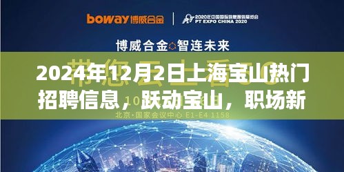 躍動(dòng)寶山，職場(chǎng)新星，上海寶山熱門招聘信息全解析（2024年）