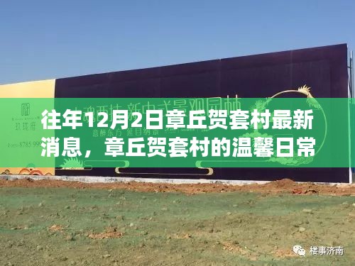 章丘賀套村12月2日最新動(dòng)態(tài)，溫馨日常的嶄新篇章