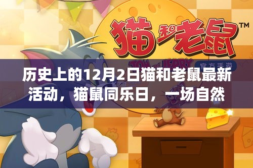 貓鼠同樂日，自然美景中的心靈之旅與貓和老鼠最新活動(dòng)紀(jì)念時(shí)刻