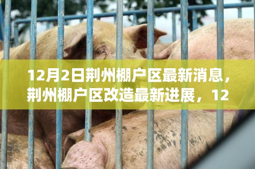 荊州棚戶區(qū)改造最新進(jìn)展深度報(bào)道，12月2日更新消息