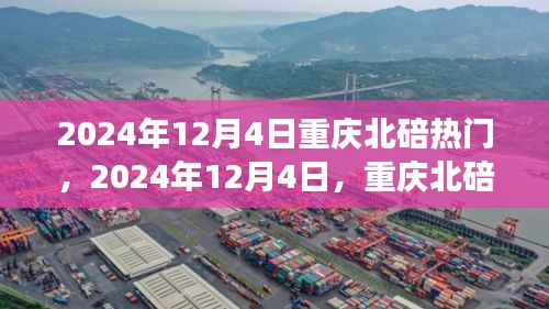 2024年12月4日重慶北碚之旅，探尋自然美景，重拾心靈寧靜