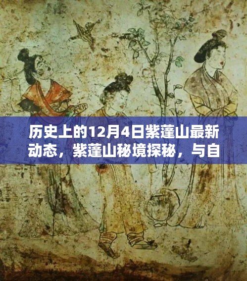 紫蓬山探秘，歷史動態(tài)與自然寧靜的交融之旅（12月4日最新資訊）