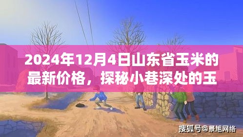 山東省玉米秘境探秘，最新價(jià)格與隱藏特色小店的奇妙邂逅