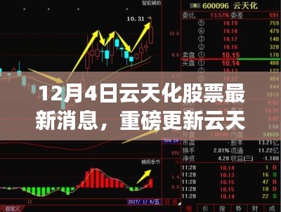 云天化股票最新動(dòng)態(tài)揭秘，市場(chǎng)走勢(shì)分析與前景展望（12月4日更新）