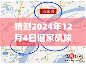 諶家磯球場(chǎng)最新動(dòng)態(tài)展望，未來(lái)賽事猜想（2024年12月4日）