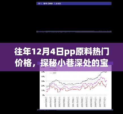 往年12月4日PP原料熱門價格探秘，小巷深處的獨特風(fēng)情小店