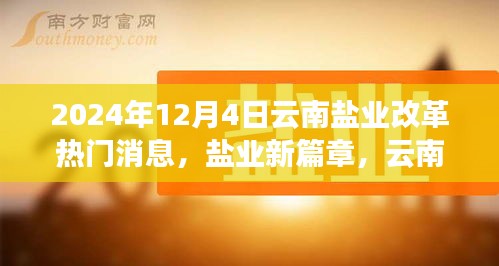 云南鹽業(yè)改革新篇章，溫情故事與行業(yè)動態(tài)揭秘（2024年12月4日）