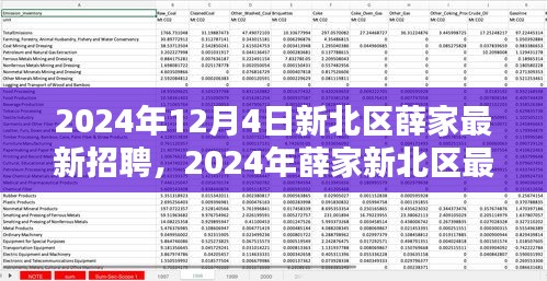 2024年新北區(qū)薛家最新招聘全攻略，適合初學(xué)者與進(jìn)階用戶的應(yīng)聘指南