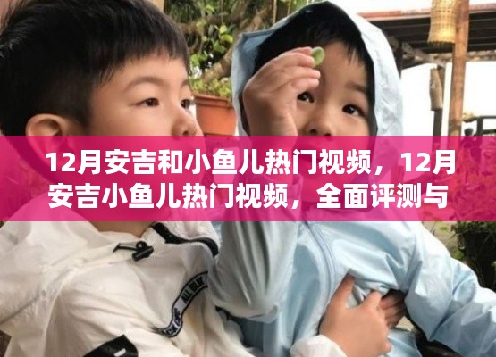 全面評(píng)測(cè)與深度介紹，12月安吉小魚兒熱門視頻匯總