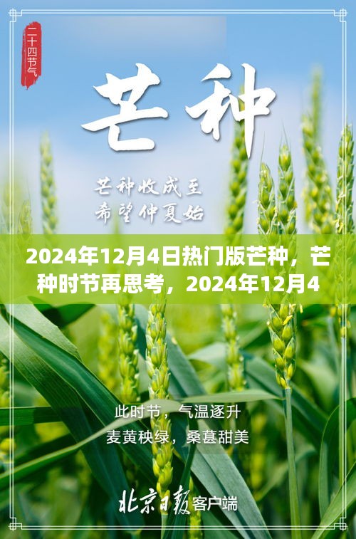 建議，芒種時(shí)節(jié)再思考，2024年熱門版芒種的深層意義與影響