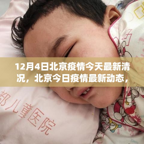 北京疫情最新動態(tài)，背景、進展與影響，今日疫情最新情況分析（12月4日）