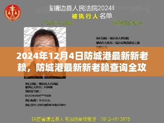 防城港最新新老賴查詢指南（2024年12月版），從初學(xué)者到進(jìn)階用戶全面攻略