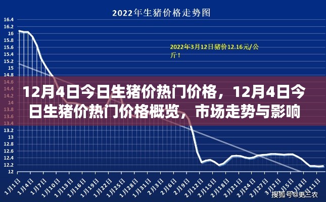 12月4日生豬價(jià)熱門概覽，深度解析市場(chǎng)走勢(shì)與影響因素