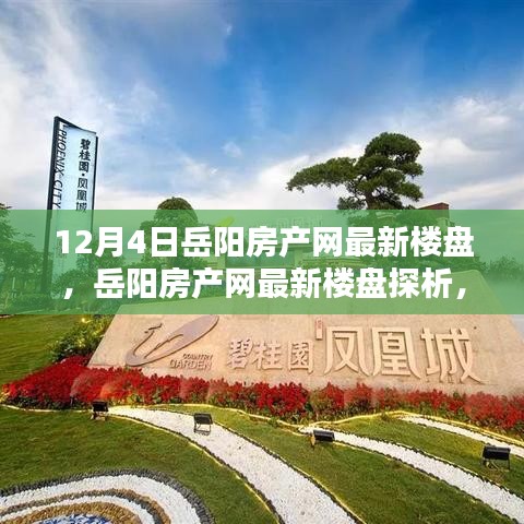 岳陽房產(chǎn)網(wǎng)最新樓盤深度解析，投資價值的探究