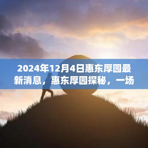 揭秘惠東厚園，自然美景的心靈之旅（最新消息）