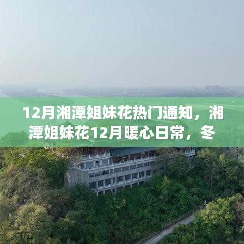 湘潭姐妹花暖心日常，十二月趣事與深厚友情的紐帶